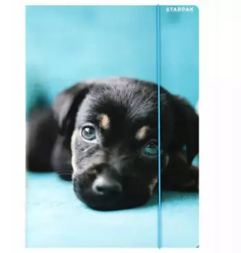 Dosje me llastik Cuties, format A4, me grafikë qenushë, shumëngjyrëshe