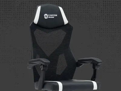 Karrige gaming Canyon Flow MCH01, rrjetë, deri 120kg, e zezë e bardhë - 1