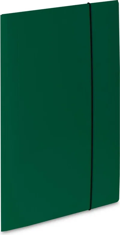 Pamja 1