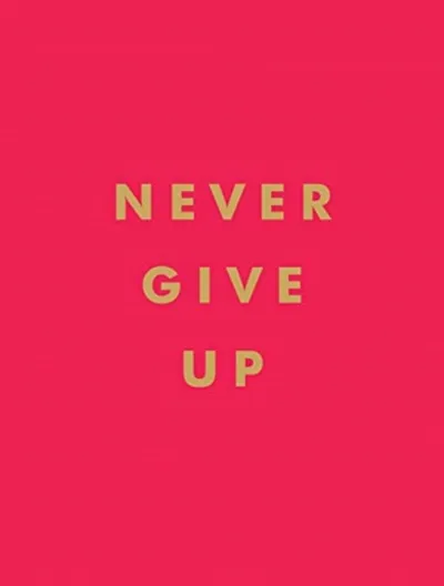 Never Give Up - Summersdale Publishers - 1