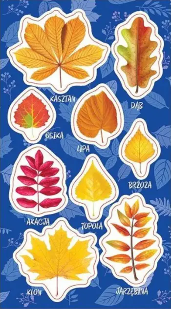 Stickers dekorativë Jesmon Autumn Leaves, motive gjetesh, ngjyra vjeshte