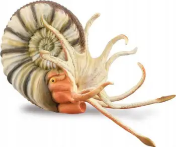 Figurë edukative CollectA Pleuroceras Ammonite XL, model fosili, shumëngjyrëshe