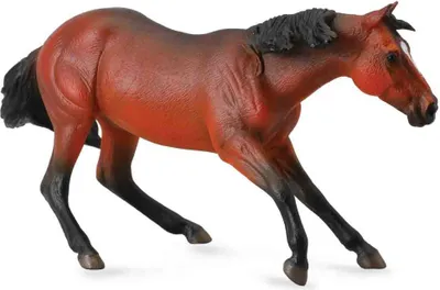 Pamja 1