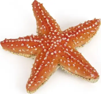 Figurë lodër PAPO Marine Life Starfish, formë yll deti, shumëngjyrëshe