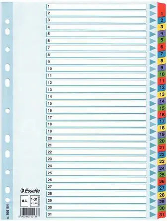 Dosje për dokumente Esselte A4 Mylar (10K055E)