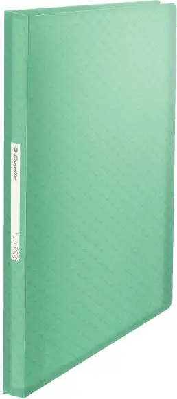 Album dokumentesh Esselte Colour Ice, 80 xhepa, formati A4, jeshile