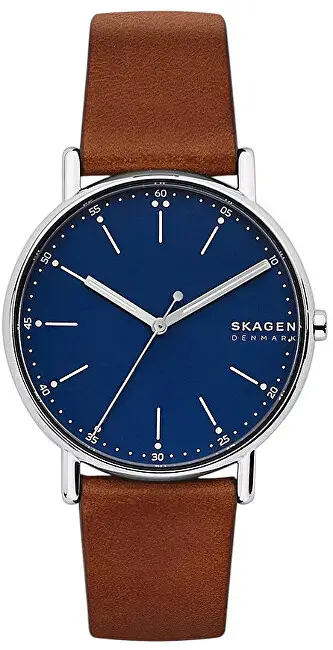 Orë dore për meshkuj Skagen Signature, e kaftë
