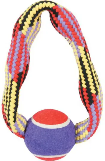 Lodër top tenisi për qen Zolux, 23 cm, shumëngjyrësh