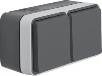 Prizë e dyfishtë Berker W.1, horizontale, IP55, gri
