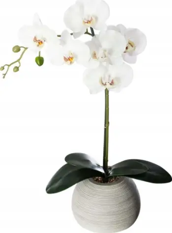 Orkide dekorative Atmosphera Real Touch, 53 cm, e bardhë