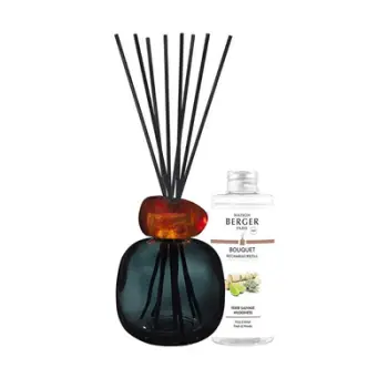 Set Difuzer me shkopinj aromatik + 6 shkopinj polimerikë + Dy mbushje për difuzor 180 ml Maison Berger Paris