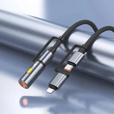 Pamja 4