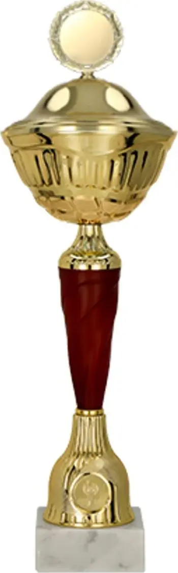 Kupë trofe metalike me kapak, 30cm, diametër 80mm, ari bordo