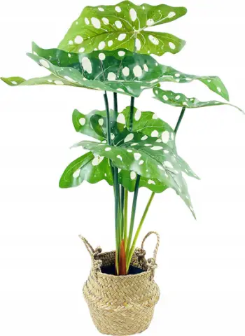 Lule artificiale në vazo Home Styling Collection Alocasia Green, 51 cm, jeshile