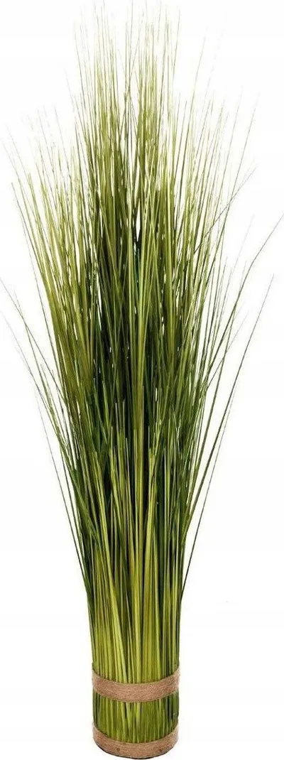 Shkop dekorativ Emako, 100 cm, plastike, jeshil - 1