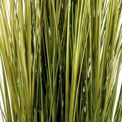 Shkop dekorativ Emako, 100 cm, plastike, jeshil - 2