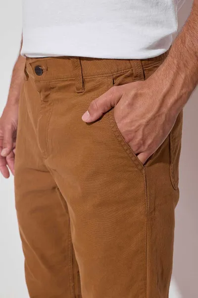 Pamja 4
