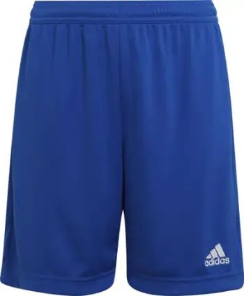 Shorce për djem adidas, të kaltërta