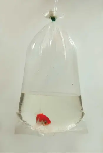 Qese transporti për peshq Happet, 14x40 cm, 100 copë, transparente