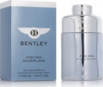 Parfum Bentley For Men Silverlake, Eau de Parfum, 100ml - 1