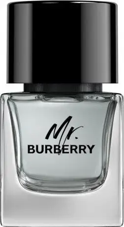 Parfum Burberry Mr Burberry, EDT, 50ml