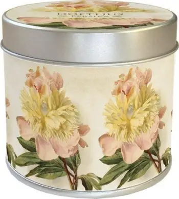 Qiri aromatik Skona Ting 191, dyll soje, aromë bozhure dhe pjeshke