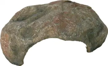Shtëpi për zvarranikë Trixie, 30 × 10 × 25 cm, e kaftë
