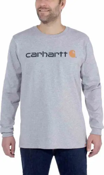 Bluzë Carhartt Workwear Signature Graphic, pulover, XL, gri e çelët