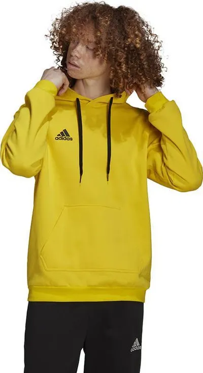 Bluzë me kapuç Adidas Entrada 22 M HI2140, për meshkuj, e zezë - 1
