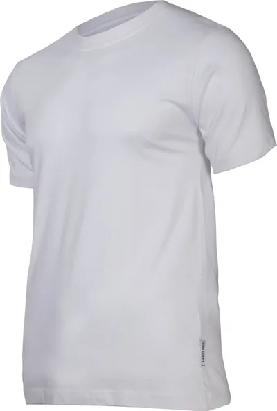 Pamja 1