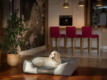 Shtrat për qen Hobbydog L Comfort, material Ekolen, gri e errët