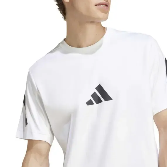 Pamja 6