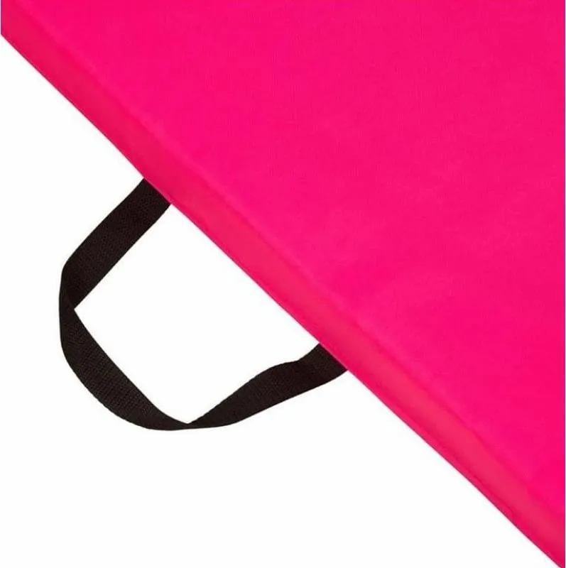 Pamja 12