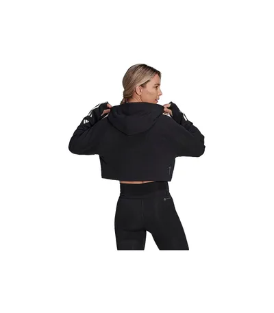 Pamja 2