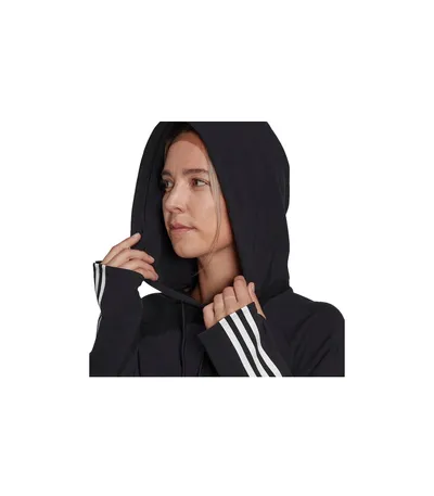 Pamja 3