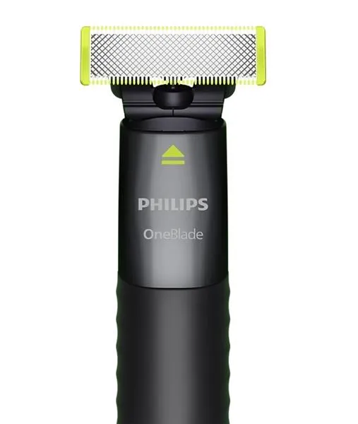Pamja 2