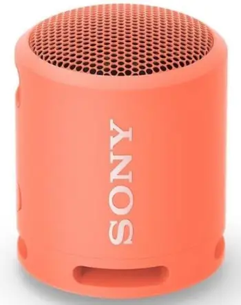 PORTABLE SPEAKER SONY SRSXB13P