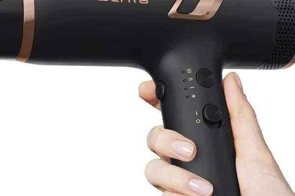 Pamja 6