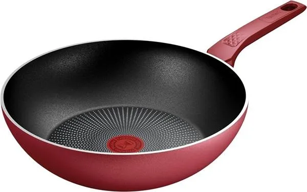 TIGAN TEFAL DAILY EXPERT C2891902 28CM - 1