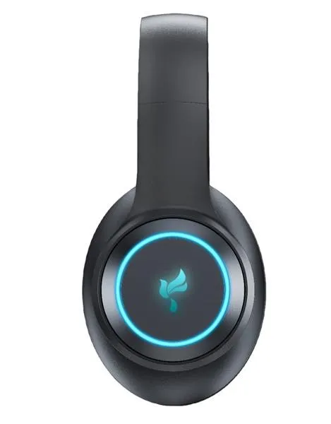 Pamja 2