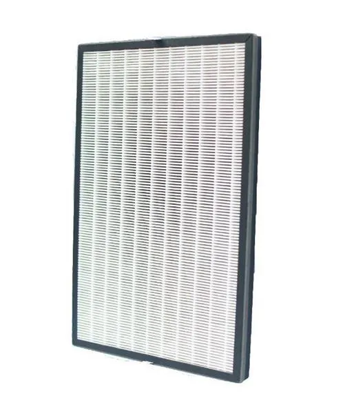 HEPA FILTER PER PASTRUES AJRI FUEGO KJ300GN-E1E5 - 2