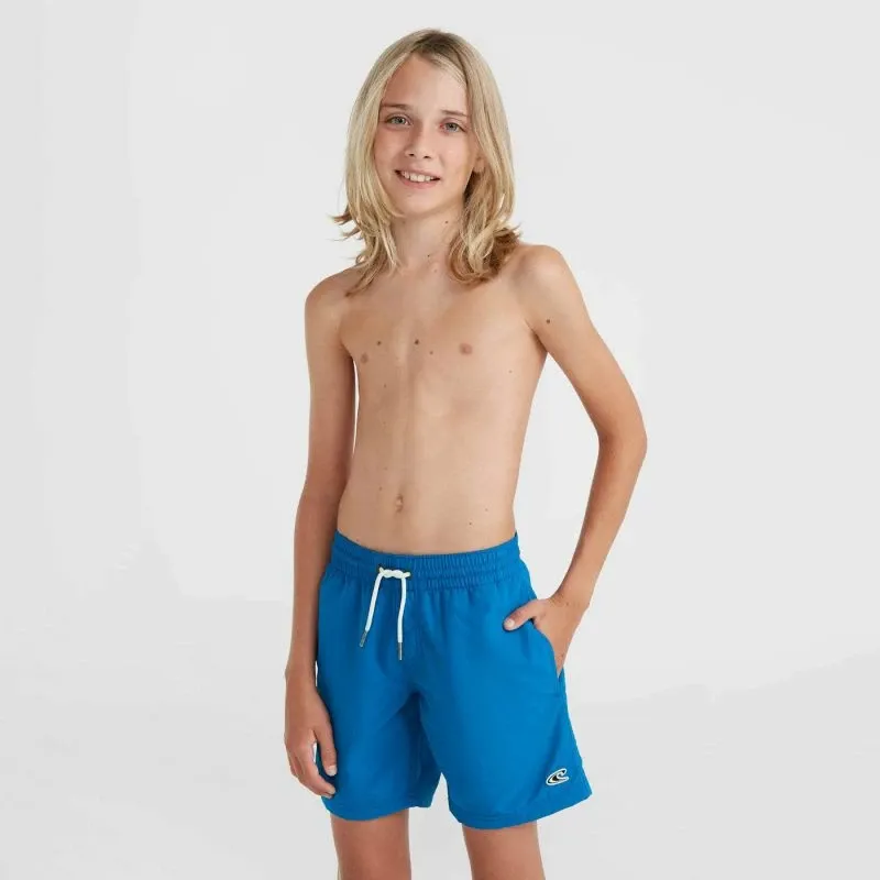 Pamja 3