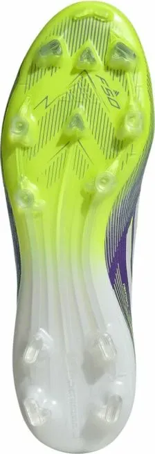 Pamja 6