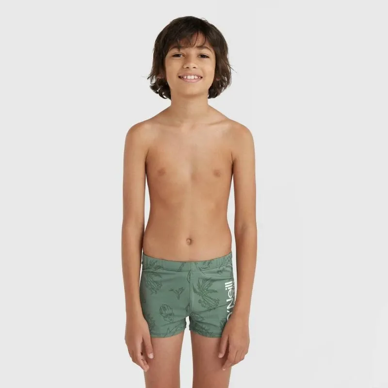 Pamja 3