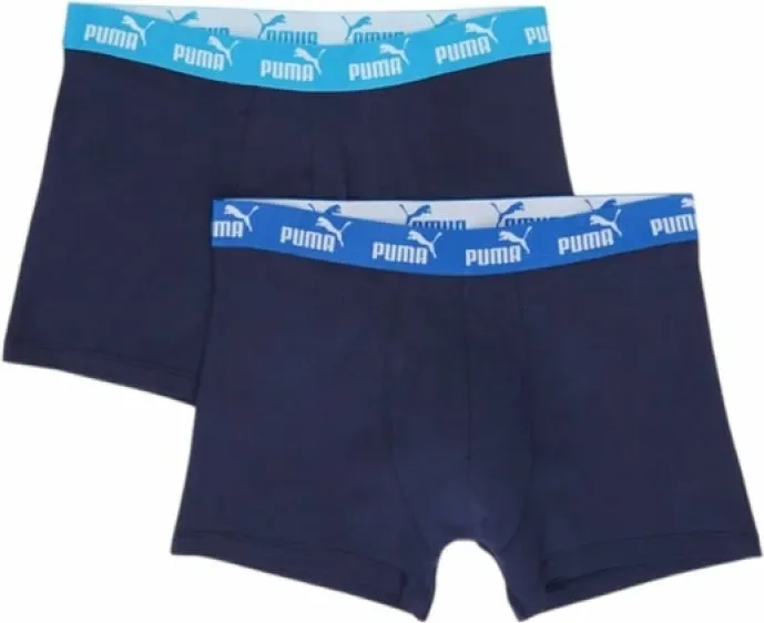 Pamja 1