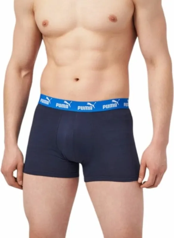 Pamja 2