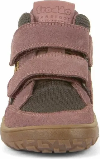 Pamja 3