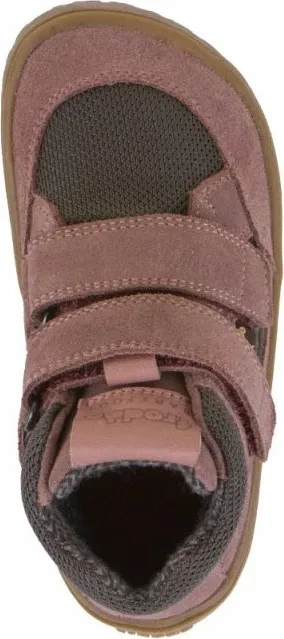 Pamja 5