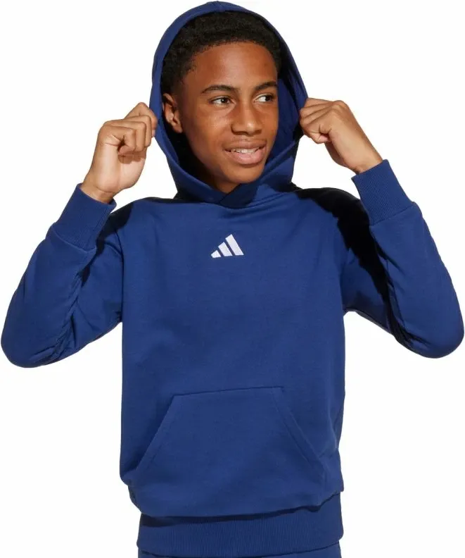 Pamja 6