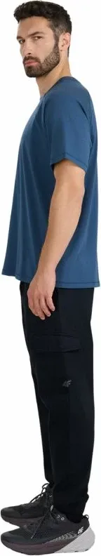Pamja 4